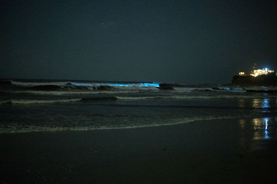 Blue bioluminescent surf at night, from Dimitry Morgan’s published photography