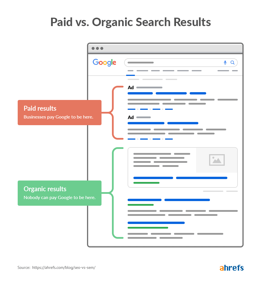 Organic and paid search results